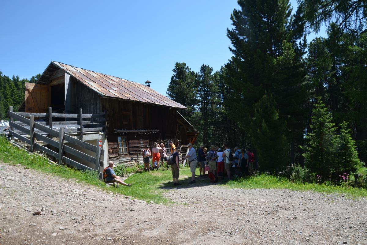 Platzer Alm 26.06.2019